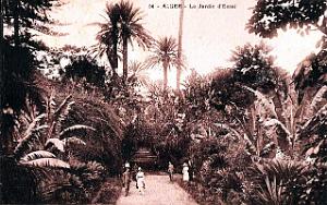 Alger - Jardin d'essai